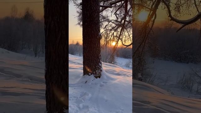 #Яренск …парк им.Землячки с новой аллей здоровья…Архангельская область…06.01.2023