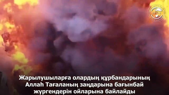 Сен өз-өзіңді жарасың смотреть онлайн