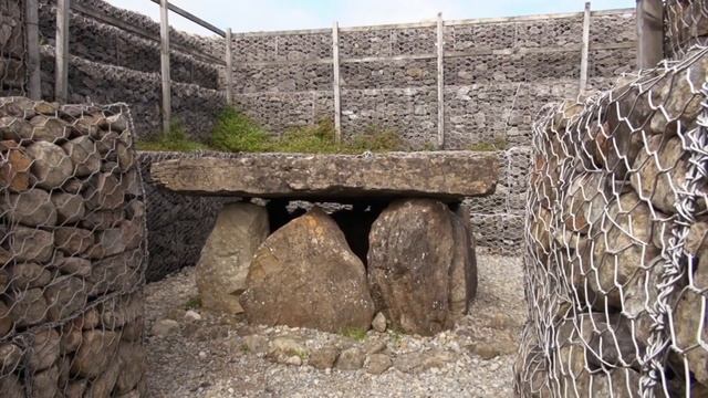 DNA and Celtic Genocide in Ancient Ireland? смотреть онлайн