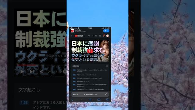 YouTubeアプリの文字起こしの不具合と文字起こし精度(いと悪ろし)。 смотреть онлайн