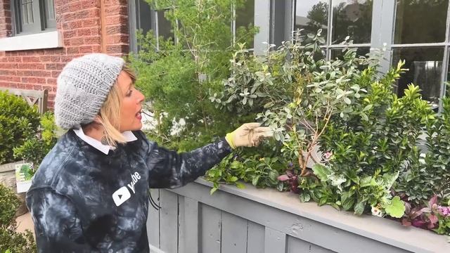 Planting the Window Box at the Cottage смотреть онлайн