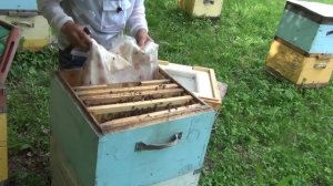 500+ Разные варианты набора отводков.