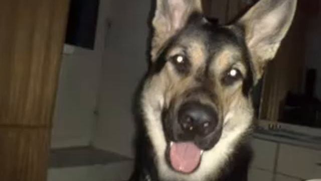 Ерма смотреть онлайн