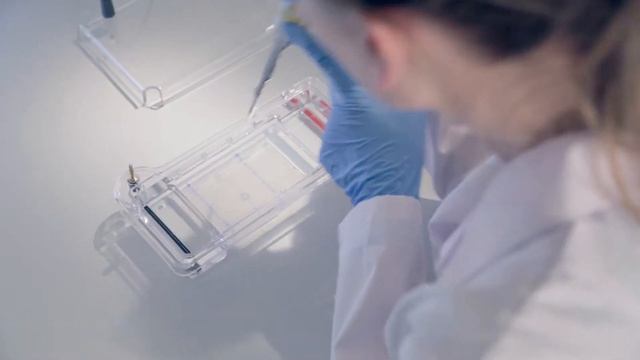 Вирусная и бактериальная диагностика патогенов картофеля и овощей смотреть онлайн