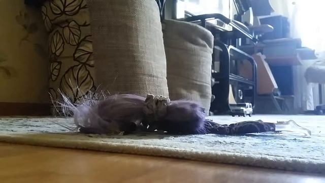 Как мы играем в кукол 😊 смотреть онлайн