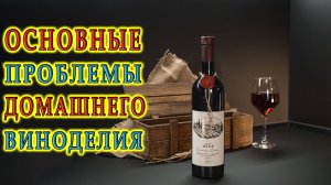 Основные проблемы домашнего виноделия | Отвечаем на вопросы зрителей | Прямой эфир