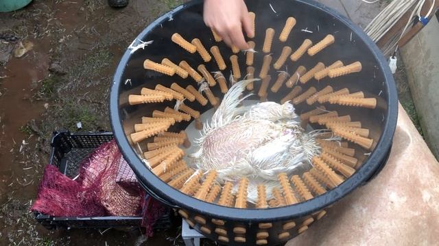 Сделал перощипалку, учимся.... пока с переменным успехом )) смотреть онлайн