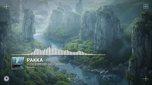 Pakka - Flow Forever (MXV Extended Remix) смотреть онлайн