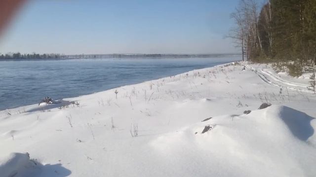 Майорчик ТВ #113 смотреть онлайн