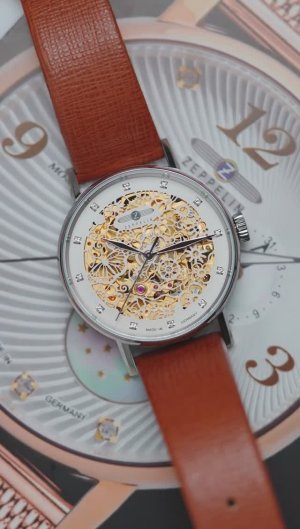 Zeppelin Princess of Sky