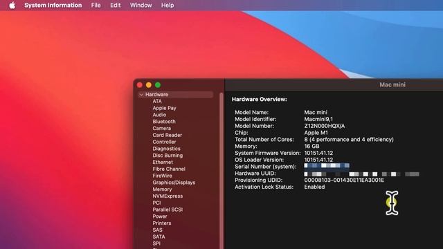 How to Find the Model and Serial Number on Mac ...Really Quickly! смотреть онлайн