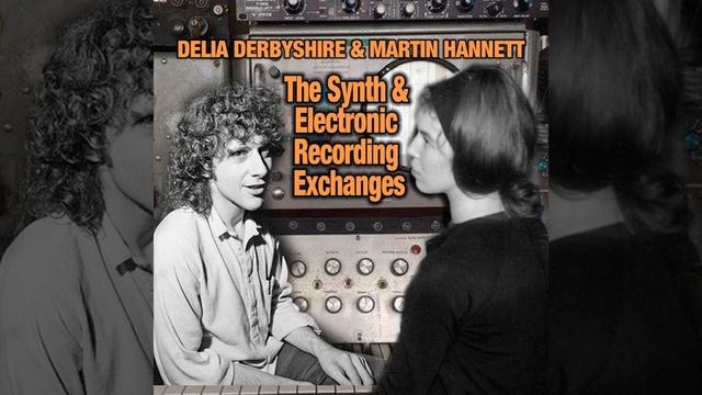 Hannett and Delia synth exchanges track 21 смотреть онлайн