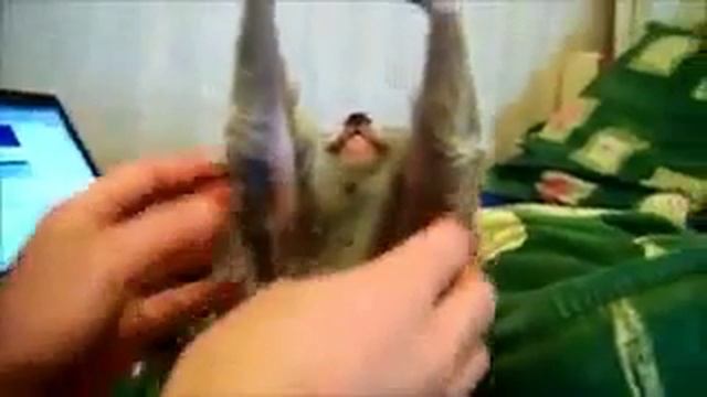 Аллен Карр лёгкий способ узбагоится смотреть онлайн