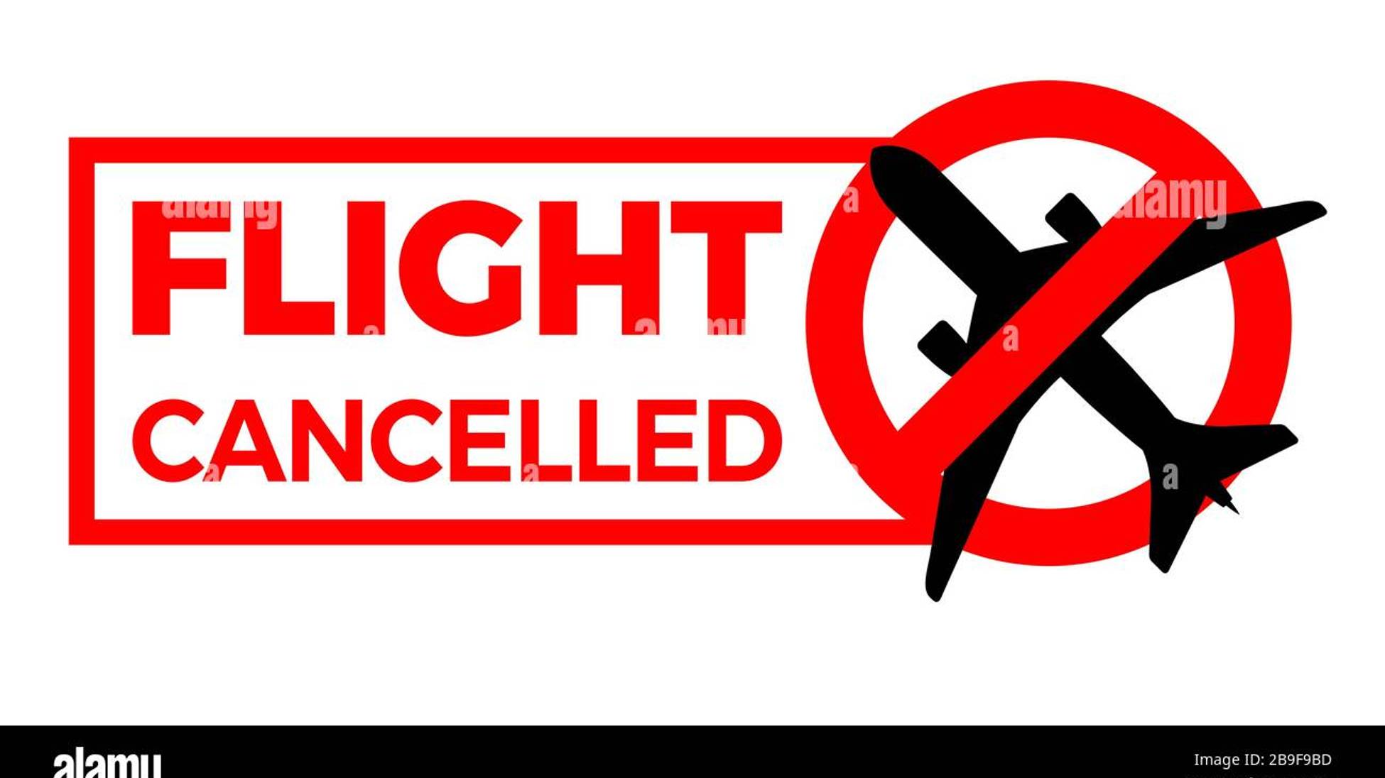 LESSON ➢FLIGHT WAS CANCELLED ( PAST SIMPLE) REVISION