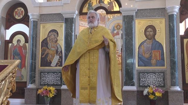 "День Святых Ап. Петра и Павла" протоиерей Михаил Швалагин смотреть онлайн