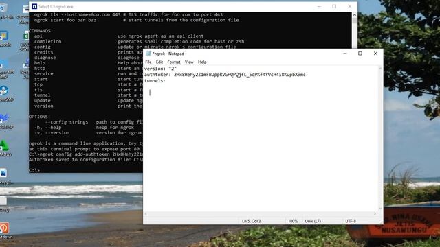 Ngrok dengan banyak port смотреть онлайн