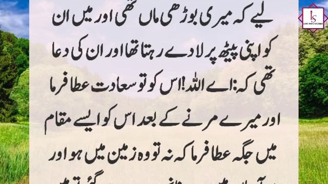 Story Of Hazrat Sulaiman (A.S) And A Man | Hazrat Sulaiman (A.S) Aur Admi Ka Waqya смотреть онлайн
