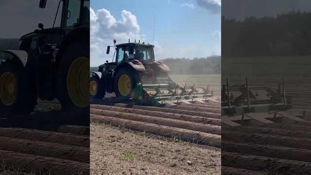 DokaGene формирование гребней. Сорт Ла Страда смотреть онлайн