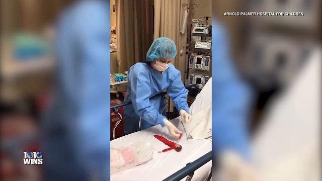 Hospital ER Staff Puts ‘Elf on a Shelf’ Back Together After Dog Attack смотреть онлайн