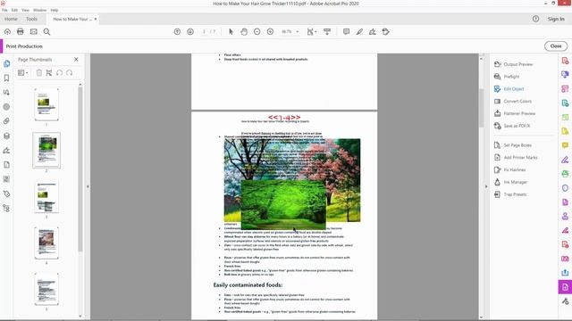How to Remove Bleed Marks from PDF with Adobe Acrobat Pro 2020 смотреть онлайн