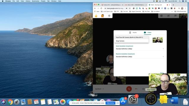 Snap Camera for Google Meet смотреть онлайн