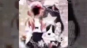 INTERNET YAMERO - Cover by Sati Akura - Slowed + Reverb
