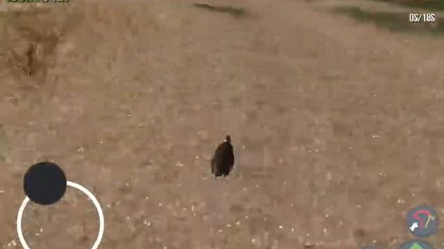 [Goat Simulator] Race between a fast car a penguin смотреть онлайн