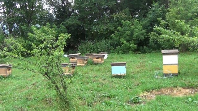 500+ Как сохранить рамки от моли? Обзор холодильника. смотреть онлайн