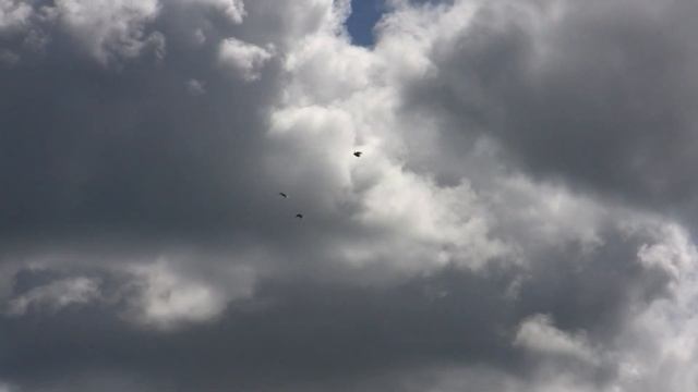 Бомбим по любому ветру.Голуби друзей. смотреть онлайн