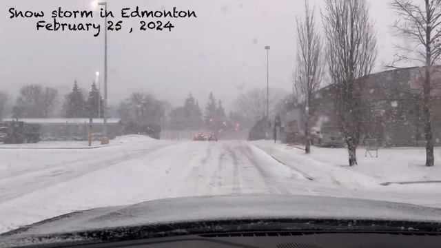 Snow storm in Edmonton, last February 25, 2024 смотреть онлайн