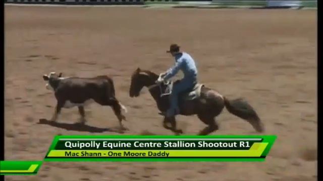 One Moore Daddy - Stallion Shootout Rnd 1. смотреть онлайн