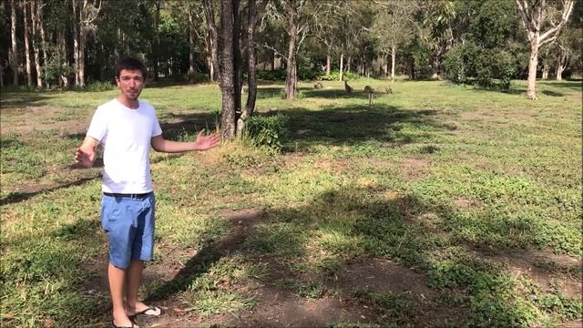 How far can a Kangaroo jump? #BBCEarthPresenterSearch смотреть онлайн