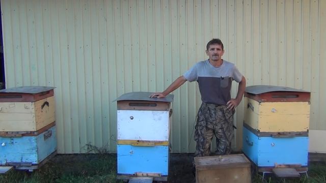 500+ Как мы боремся с клещом смотреть онлайн