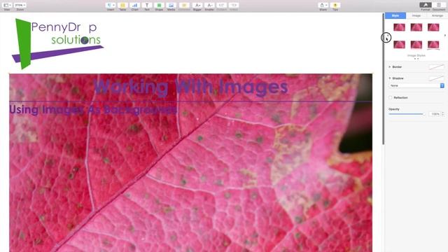 Pages Mac Background Images Tutorial