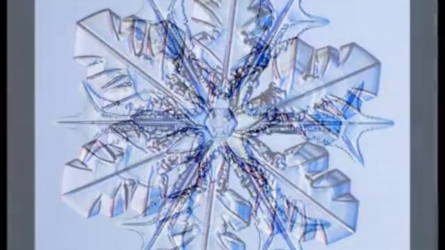 Snow Flakes