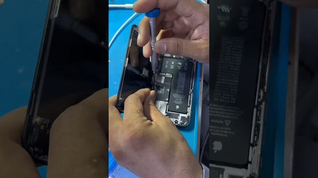 How to restore true tone /11pro display message with true tone #repairiphone #iphone #repair смотреть онлайн