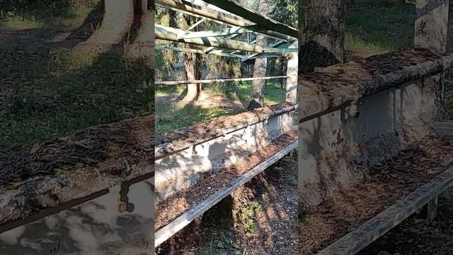 Заброшенный пионерский лагерь! Помните, утром всё бежали к такому умывальнику? смотреть онлайн