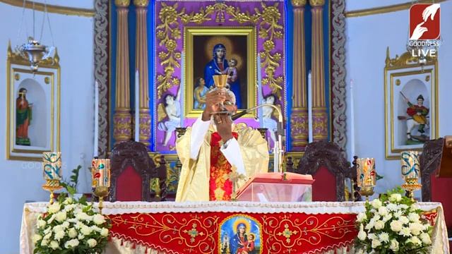 HOLY MASS | LATIN MASS | 19 SEPT 2022 | REV FR JOBIN PANIKULAM | വിശുദ്ധ കുർബാന | GOODNESS TV смотреть онлайн