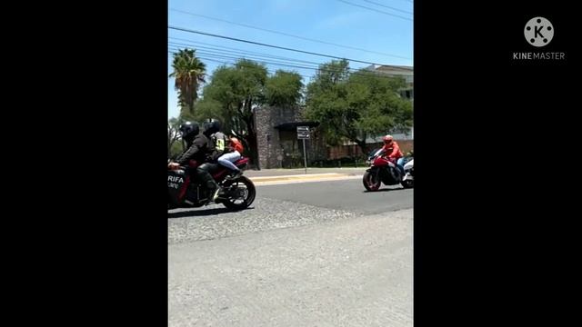 un dia en el sitio de león gto смотреть онлайн