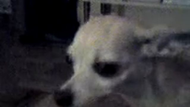 lulu смотреть онлайн