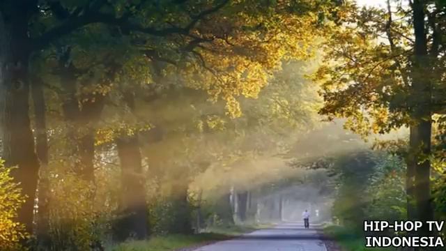 Lirik Lagu Glenn Sebastian - Su Trada Lagi (Auto Baper) смотреть онлайн