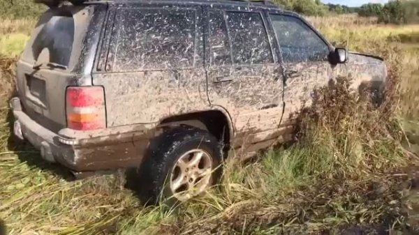 Гранд чероки 5.2 в болоте