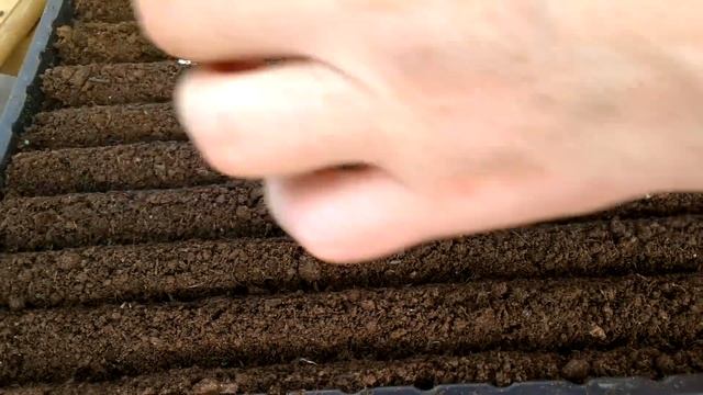 Сеем потихоньку. смотреть онлайн