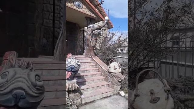 Новый житель нашего двора. смотреть онлайн