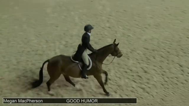1156 GOOD HUMOR Megan Mac Pherson, Class 45 Junior Hunter Winners Stake смотреть онлайн