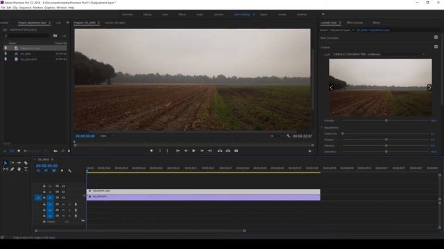 How to : Add adjustment layer and use Luts in Adobe Premiere Pro CC смотреть онлайн