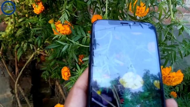 iphone X camera test || high super copy iphone X || clone iphone X camera in Bangla Review смотреть онлайн