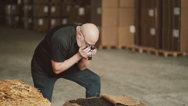 ORIENTAL TOBACCO - Our master blender explains it смотреть онлайн