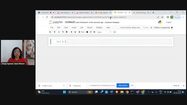 Breaking Boundaries: Image Segmentation with Meta AI's SAM (Segment Anything Model) смотреть онлайн