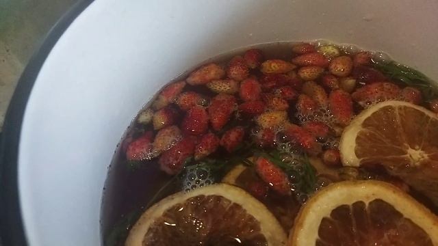 MARINA SHIRINA Of Marisabel